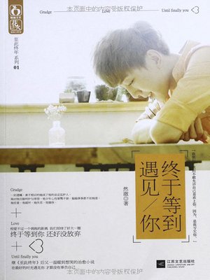 终于等到遇见你 (Wait until I Finally Met You) - ebook
